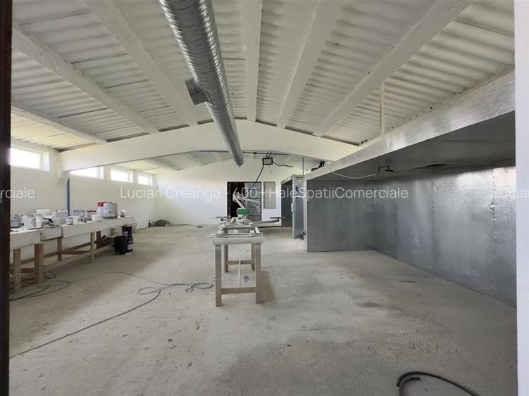Vanzare hale Horlesti, aproape de Letcani/ Metro, de la 200mp la 2500mp - 6