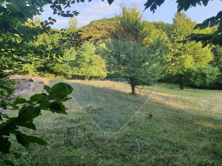 Poiană pentru cabana de vanzare intravilan Coas - 9