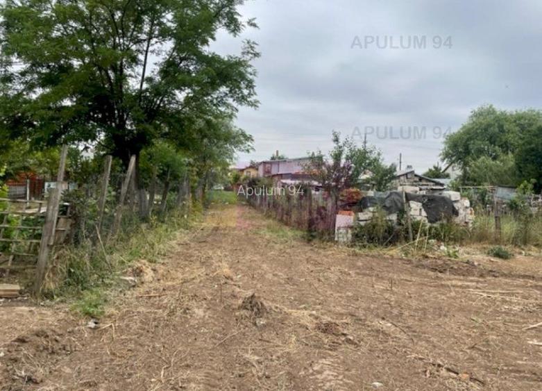 Teren Domnesti- Mega Image. - 4