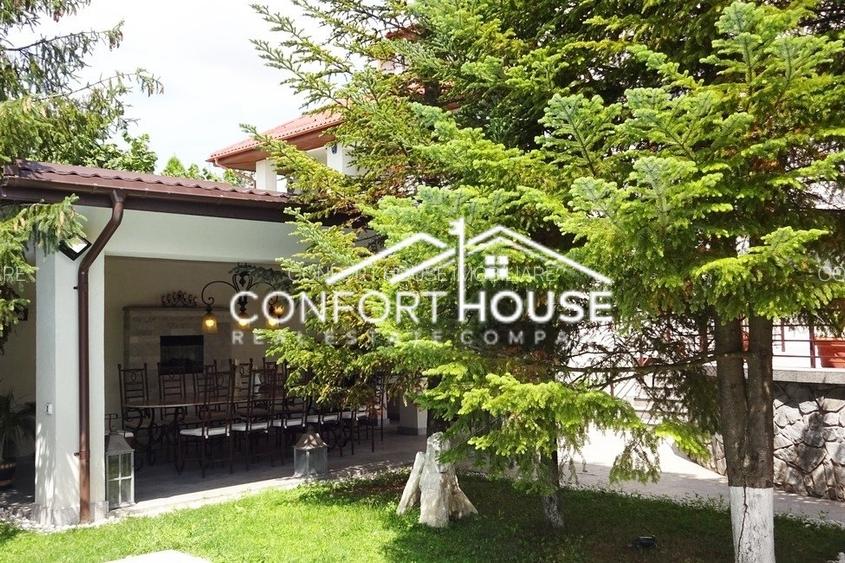 VILA SUPERBA IN IANCU NICOLAE - 35