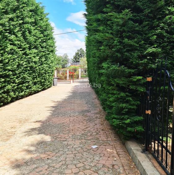 Bucium | locuinta impunatoare | refugiu al linistii si rafinamentului - 21