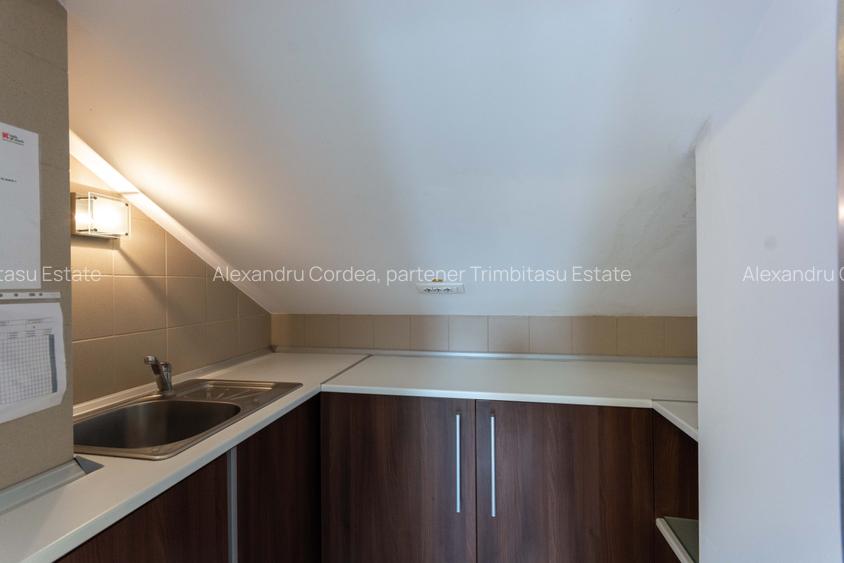 Aviatiei | Smaranda Braescu | Vila reprezentativa de inchiriat - 48