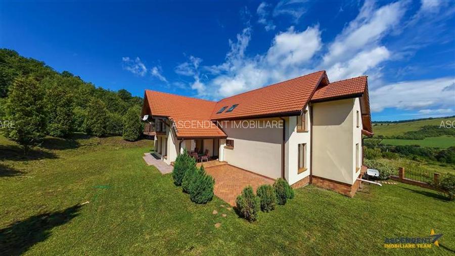 FILM! Sophisticated villa in an exclusive natural setting, Pestisu Mic, Valea Na - 21
