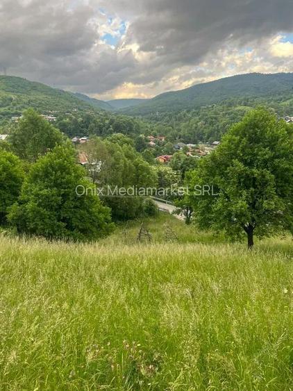 TEREN DE VANZARE VALEA DOFTANEI - 7