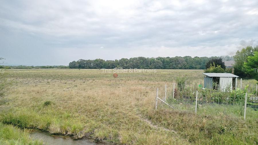 Teren Extravilan - 13