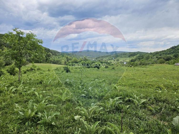 Teren 11,935mp Margineni / Strada Dubas - 4