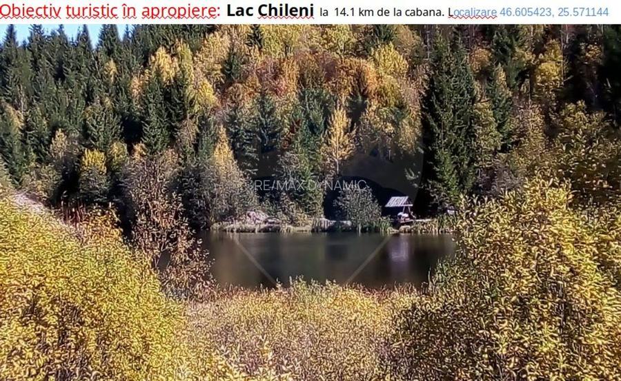 Vânzare teren extravilan, 4 ha pădure, zona turistică Liban, Harghita - 21