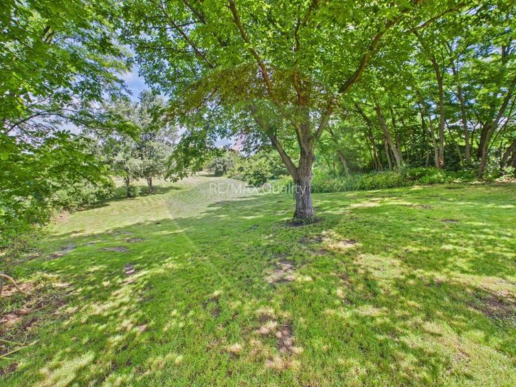 Vila cu Gradina generoasa - Oaza de relaxare in Gruiu - 31