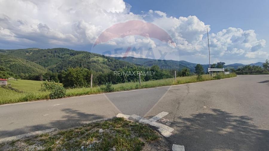 Teren 130000 mp extravilan, faneata si padure, Munteni - Bulz, Negreni - 9