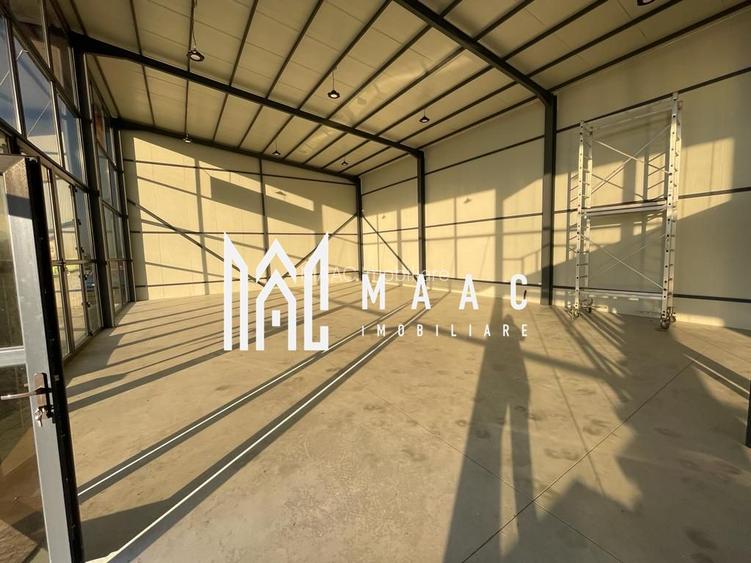 Hala | 250 MP |  Teren 3900 MP | - 8