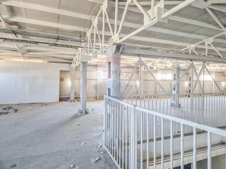 Hala beton P+E 1000 mp comercial, productie, depozitare Pipera Plaza - 6