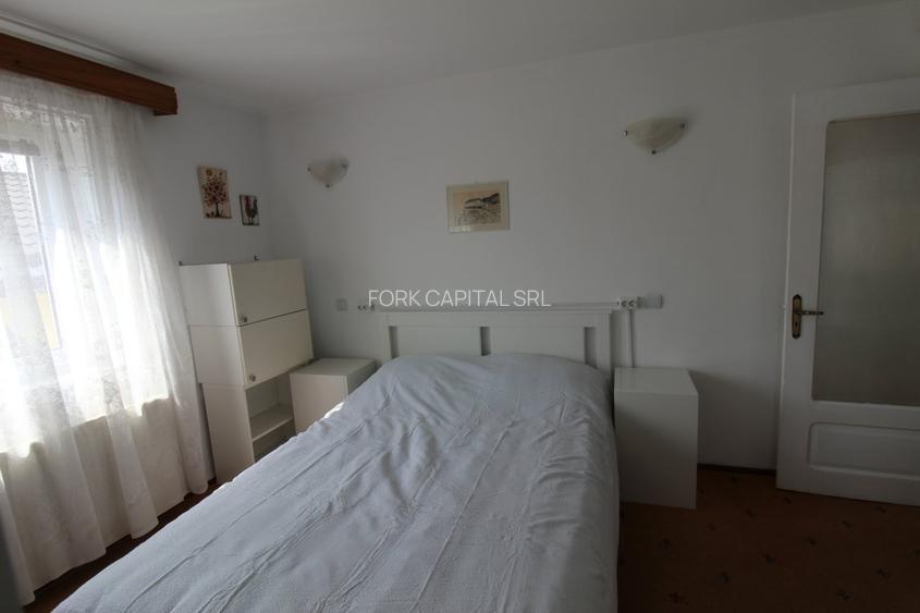 Ciolpani casa singur curte cu vegetatie superba. 37 minute de Bucuresti - 19