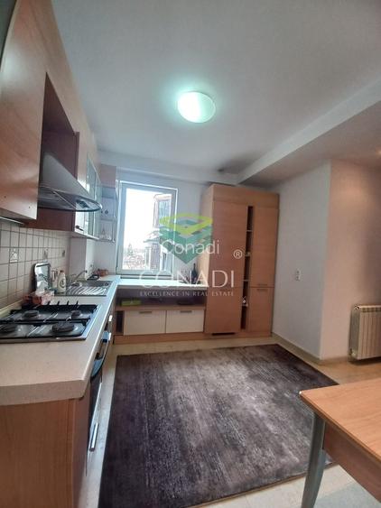 Apartament cu 3 camere Primaverii - 13