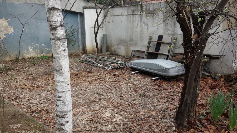 Pache Protopopescu-Agricultori-Matasari - 18