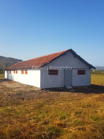 Vand teren  500 m p , 1000 mp  , 17500 mp intravilan , negociabil. - 8