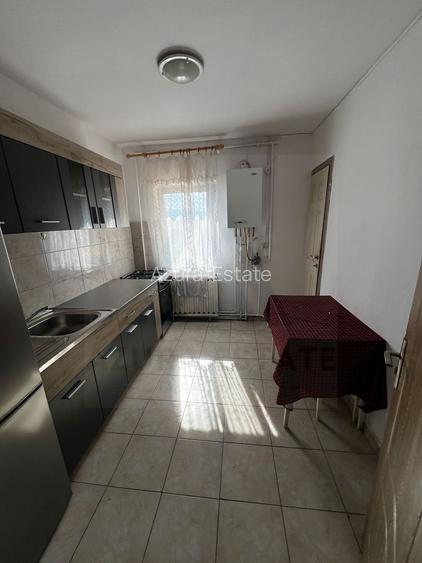 Apartament 3 camere 70 mp Terezian - 11