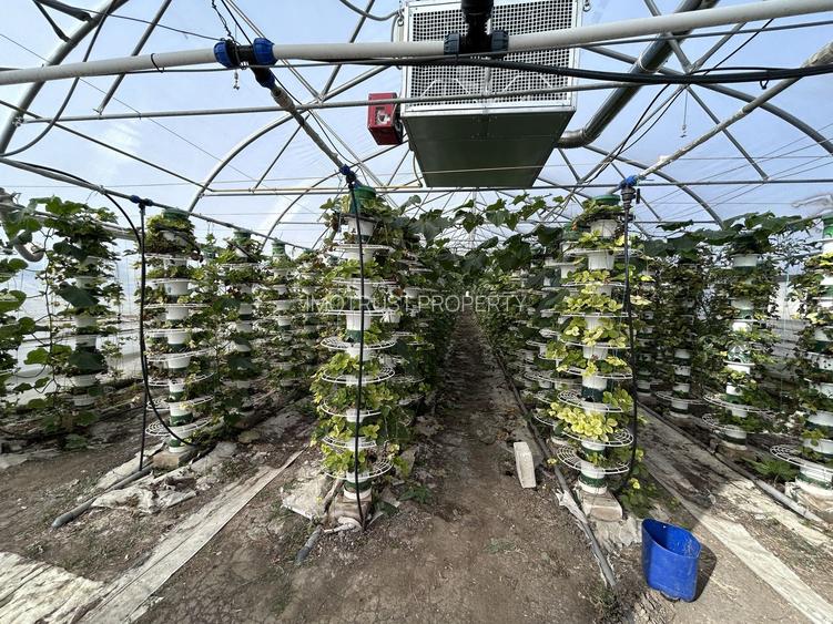 De vanzare-afacere la cheie - 3