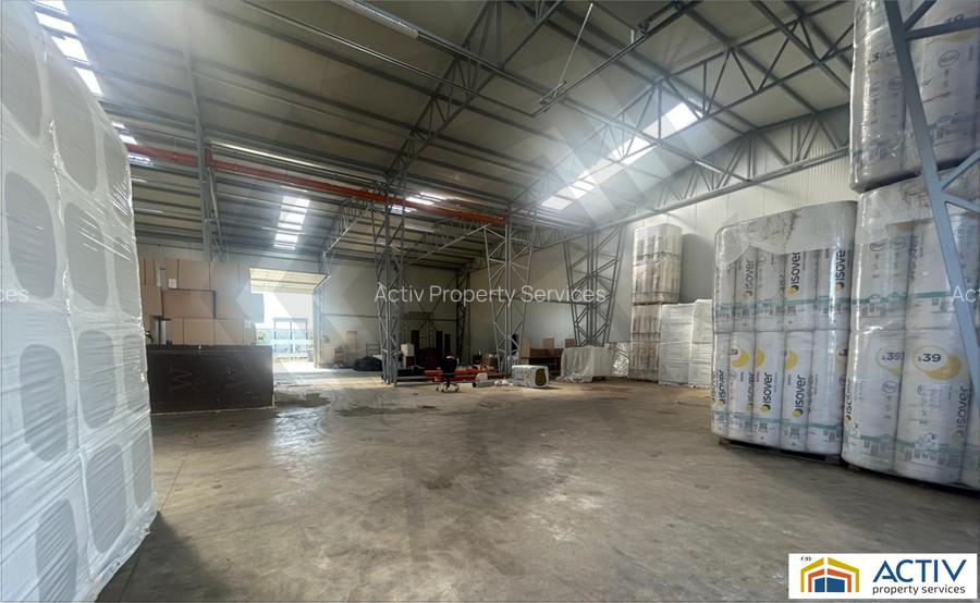 Hala Conti Impex Magurele - 5