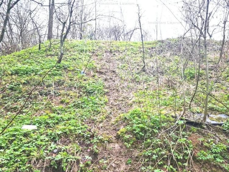 Teren intravilan1291 mp Schei Str Nisipului iesire la Drumul Poienii - 3