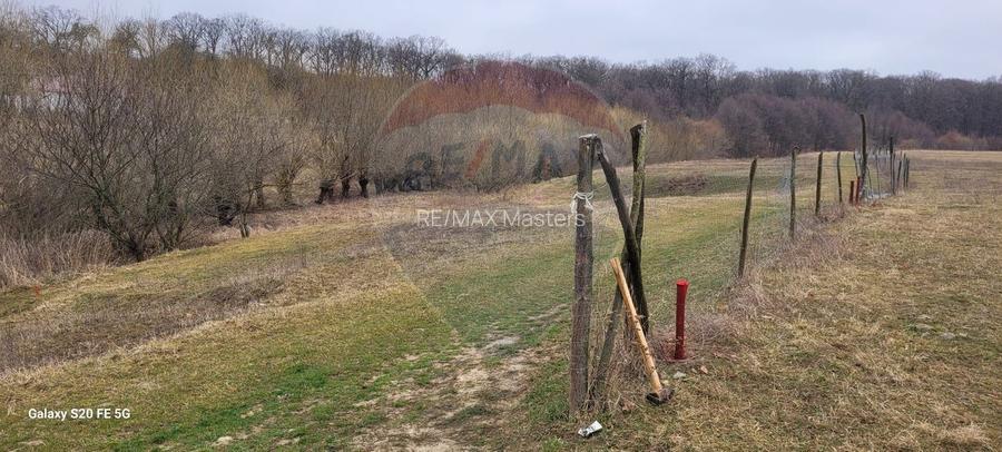 Teren 2925 mp comuna Mitocu Dragomirnei - 4