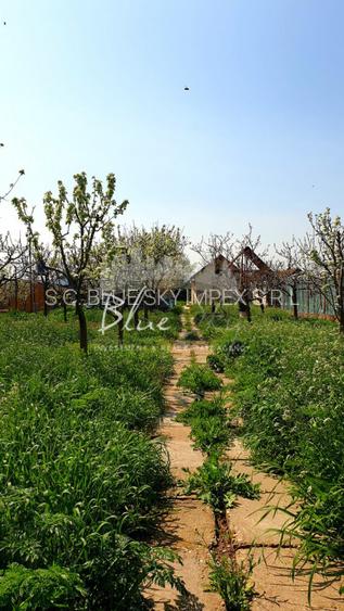 Casa cu teren 1200 mp situata in Localitatea Mihai Kogalniceanu - 14