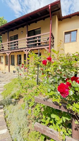 ZONA PARC - Valea Rosie (sus) casuta + vila cu teren 834mp finisate! - 3