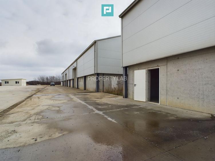 Hală industrială de 538mp Jebel, Timiș - 6