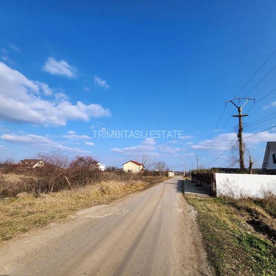Teren cu deschidere lac Snagov Vladiceasca - 7