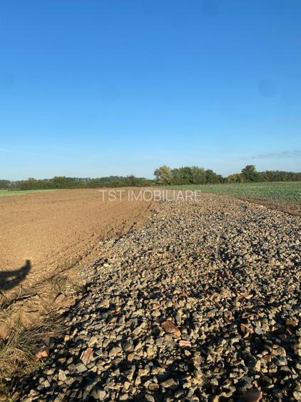 Teren intravilan de vanzare - Zona Aquastar / Str. Gorunului - 406 mp - 6