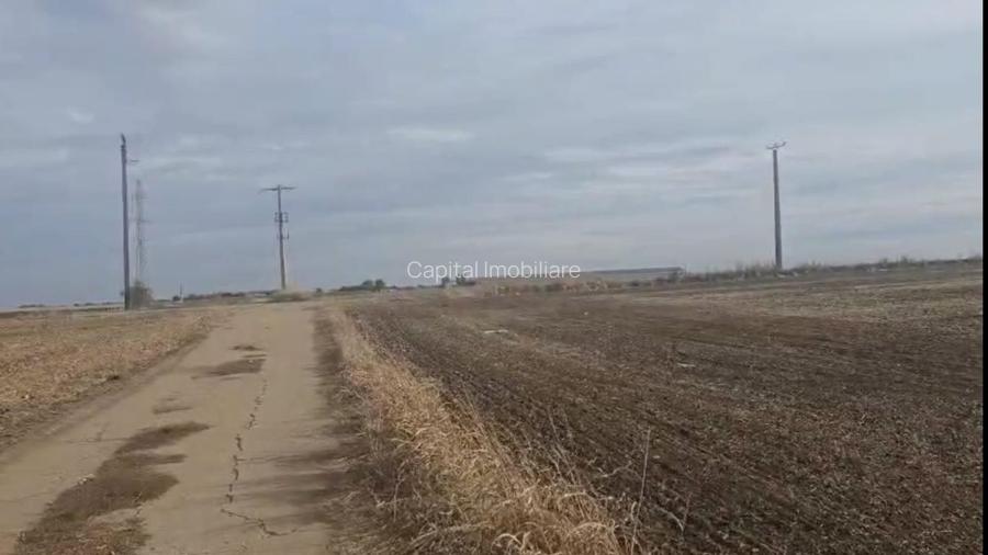 Teren Agricol 2 Ha - Becicherecu Mic (Zona Fornetti) - Acces Betonat - 4