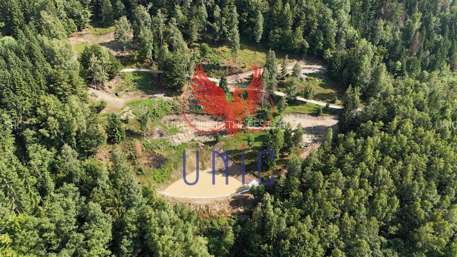 18000 mp de natura pura ,Lupeni, langa Straja - 7