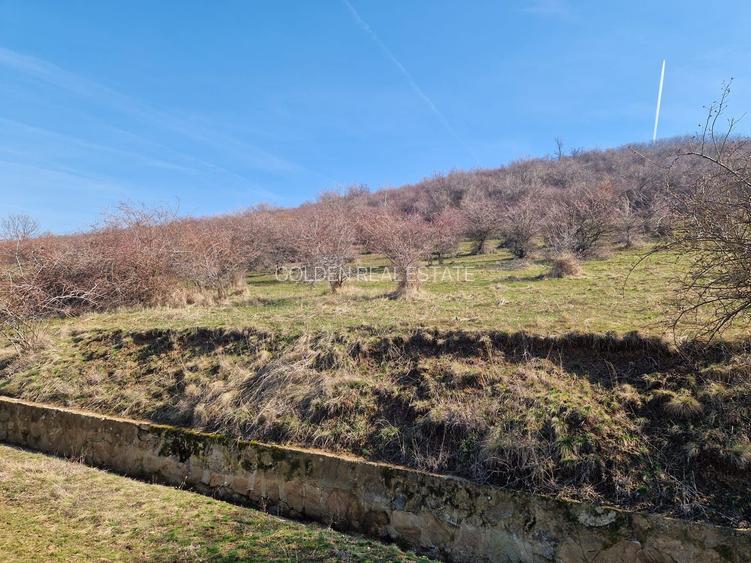 Teren extravilan,  zona si priveliste superba, Cuvin - 6