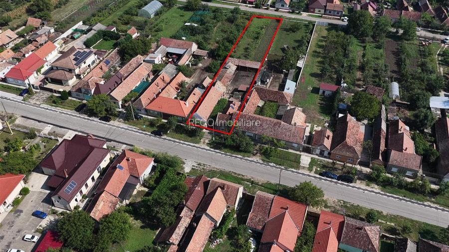 Teren mare cu 2 case si front la 2 strazi in Tamaseu - 49