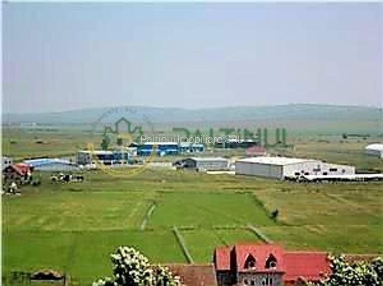 Teren de vanzare 13 euro mp,  6.000 mp - Parcul Industrial Sura Mica Sibiu - 2