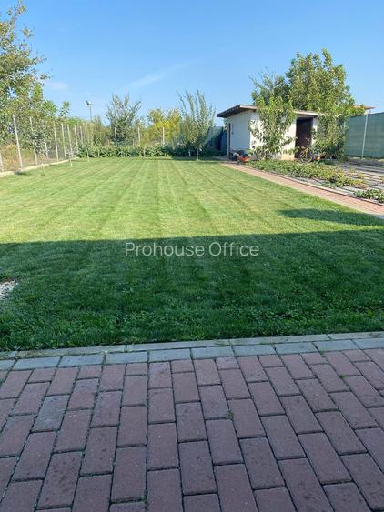 Vrei liniște aproape de oraș ? la 20 min de București , Moara Vlasiei/Gradistea - 3