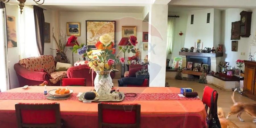 Vila la Lacul Snagov deschidere 21 ml,  ponton propriu - 5