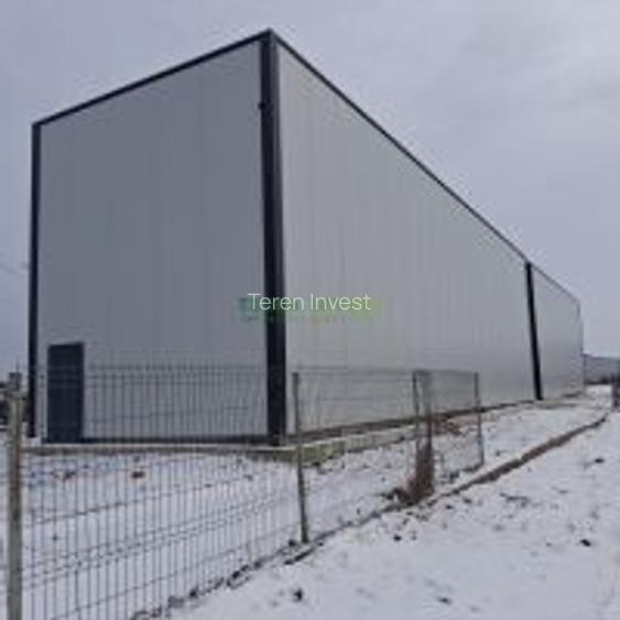 Vânzare hală depozitare - Drumul Între Tarlale - 21