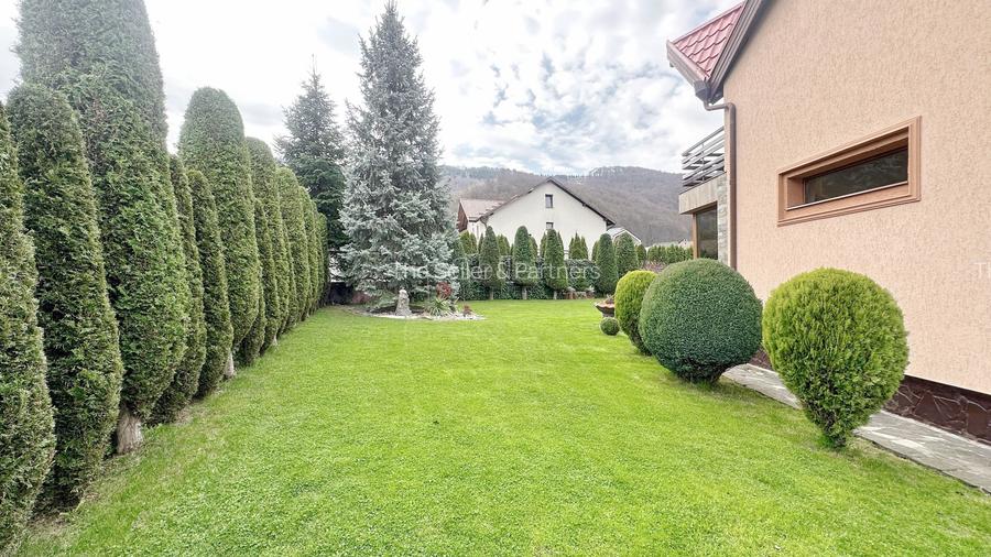 Priveliste Deosebita Zona Linistita - 33