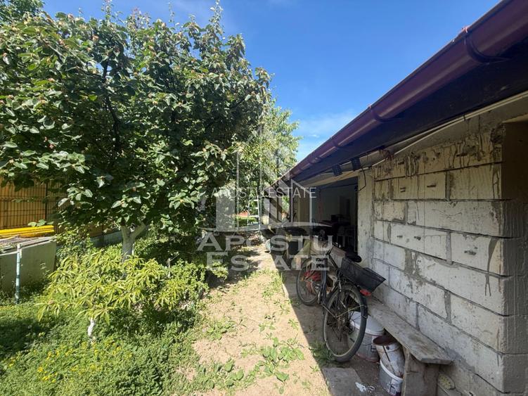 Casa individuala cu teren de vanzare, zona Plopi Timisoara - 11