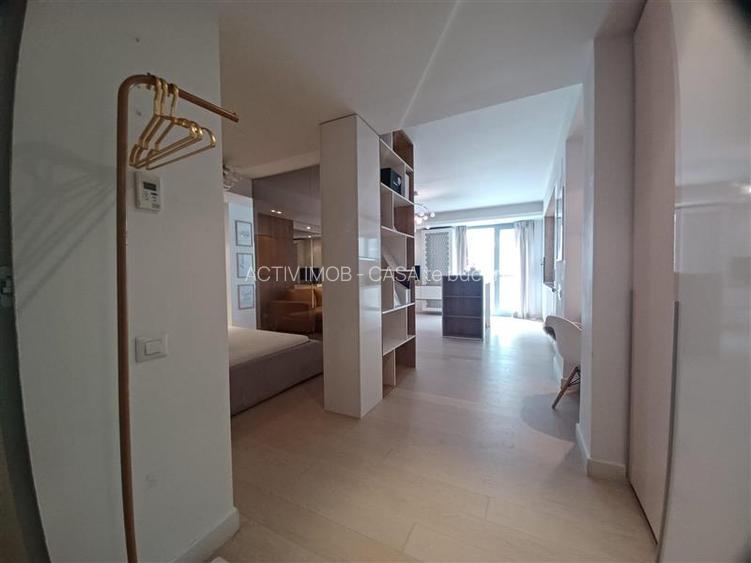 Inchiriere 2 Camere Studio Piata Victoriei- Sfintii Voievozi - 12