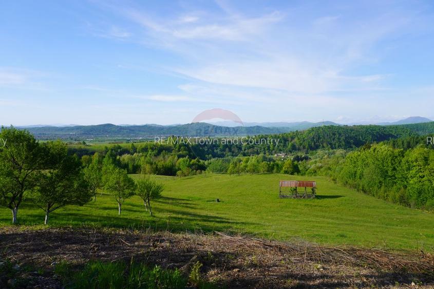 Teren 15,000mp Sighetu Marmatiei / Strada Mocanitei - 2