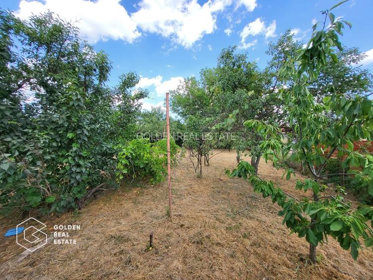 Casa P+M, sat Neudorf - 24