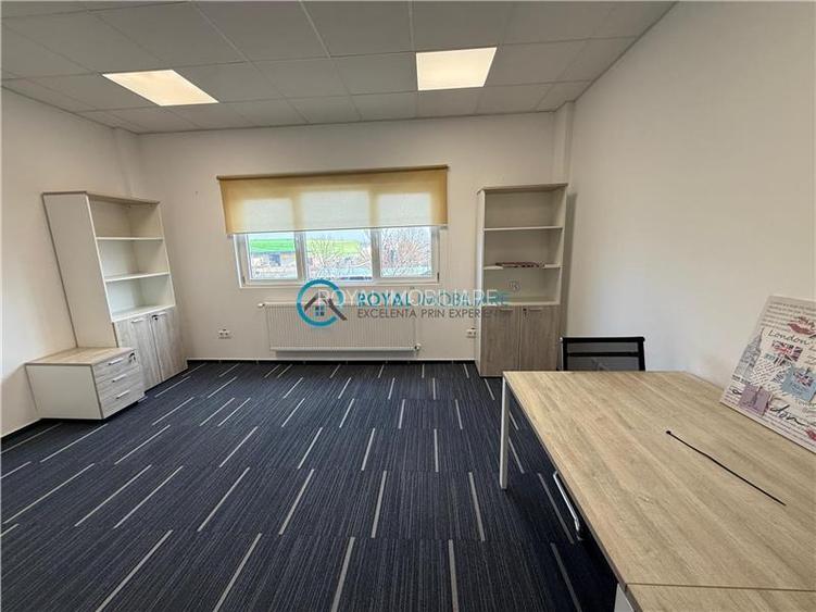 Royal Imobiliare-  Spatiu Industrial Zona Exterior Vest - 21