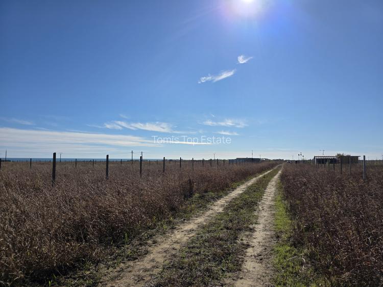 Teren intravilan 548 mp in Corbu, ideal pentru investitie - 3