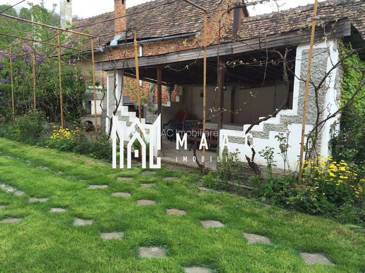 Casă individuală I Rustic I 100 mpu I Curte 2000 mp I Nemșa - 20