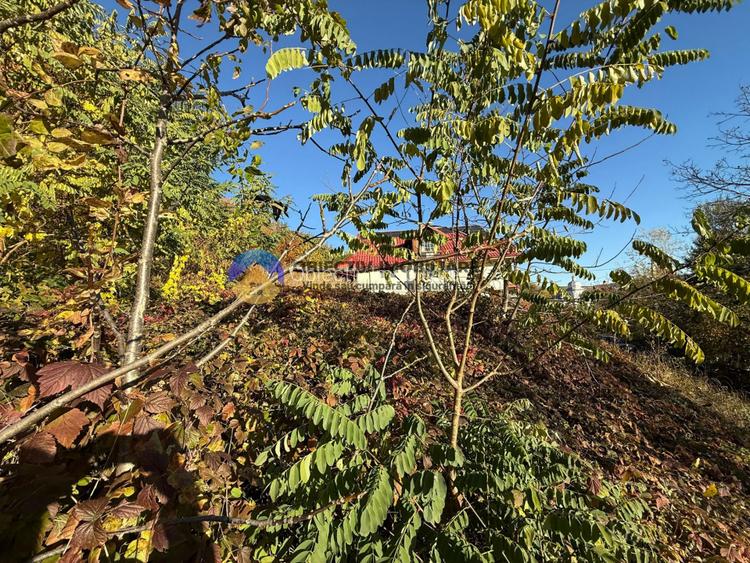 Teren intravilan 1543 mp – zona Darmanesti - 9