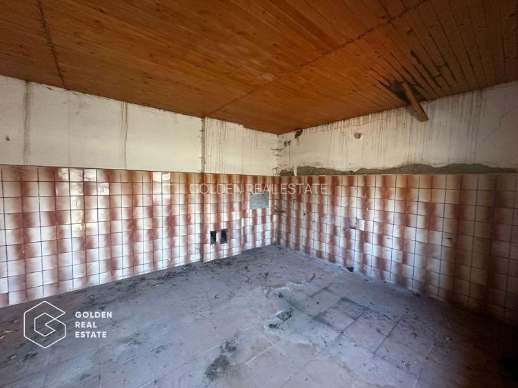 Teren intravilan 71.000mp, Barsa, Renumita Fabrica de caramida si casa 4 camere - 10