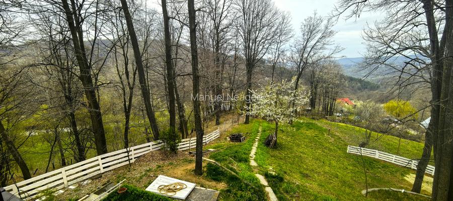 Proprietate Breaza de vis , zona de vis , prezentarea agentului , de vis - 21