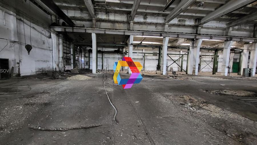 Hala - 1137 mp  # plus-imo.ro - 5