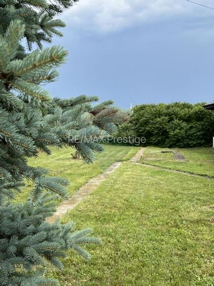 Proprietate speciala Dragomiresti Deal -Teren 15000 mp - 42